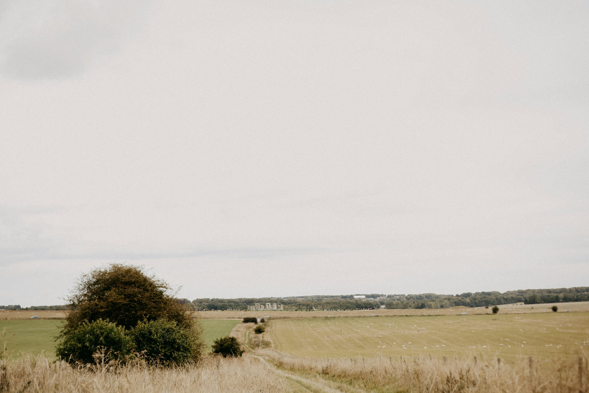An open Wiltshire field crossed by a dirt track, the kind of ground the Durrington Walls henge now sits under