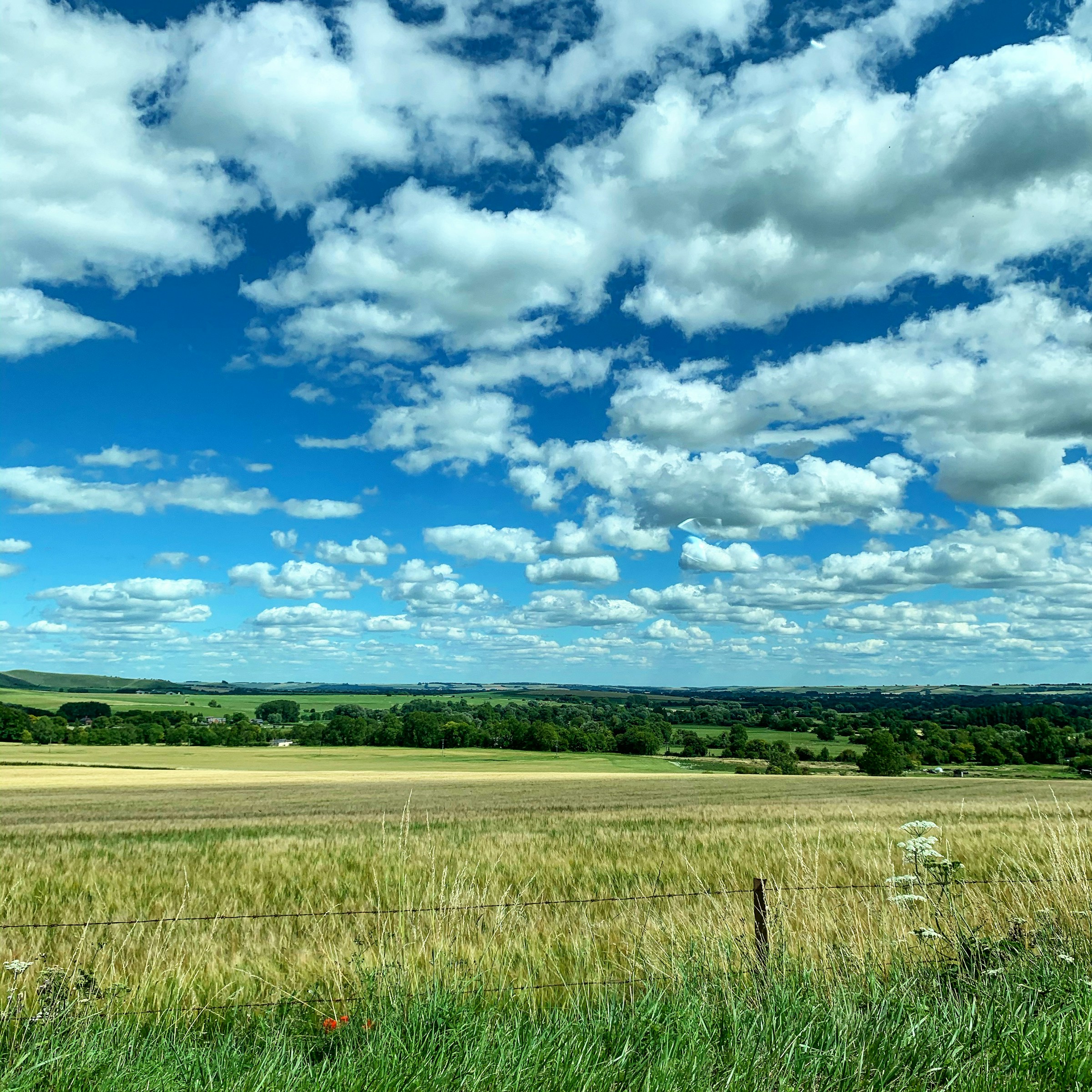 Rolling chalk grassland under a wide sky near Marlborough, Wiltshire